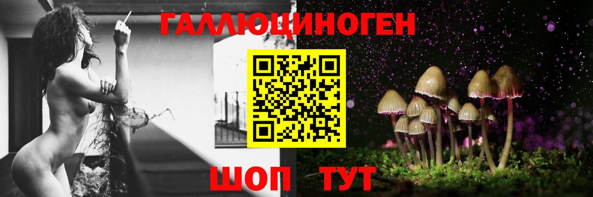 Псилоцибиновые грибы ЛСД  Псилоцибиновые грибы MAGIC MUSHROOMS  Камышлов  Вход с VPN 